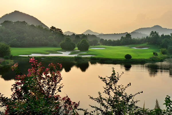 風(fēng)水最新動(dòng)態(tài)，日常小事中的風(fēng)水奧秘與溫馨解讀